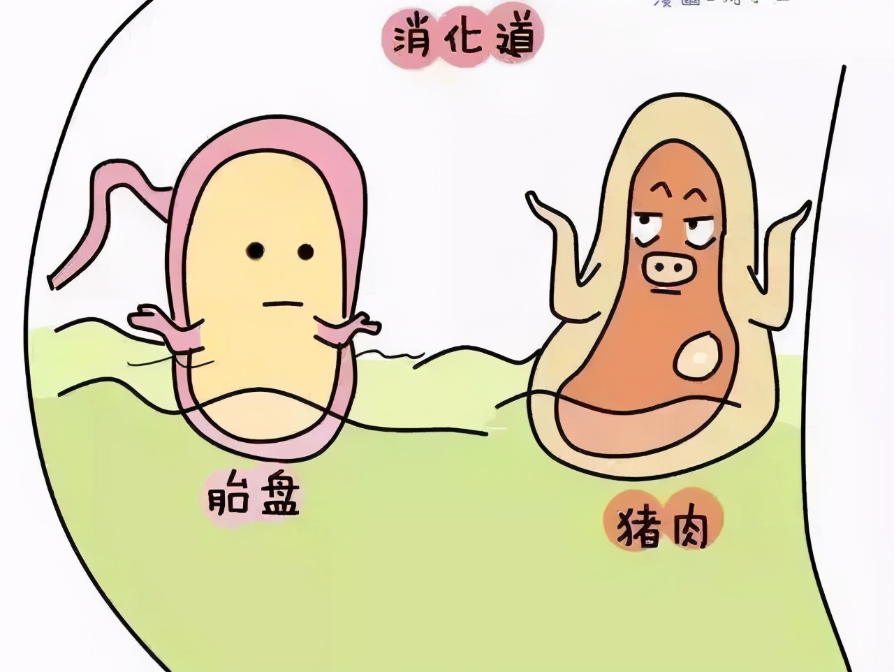 辟谣！胎盘到底是“十全大补”还是在吃蛋白质？看完你还要吃吗？