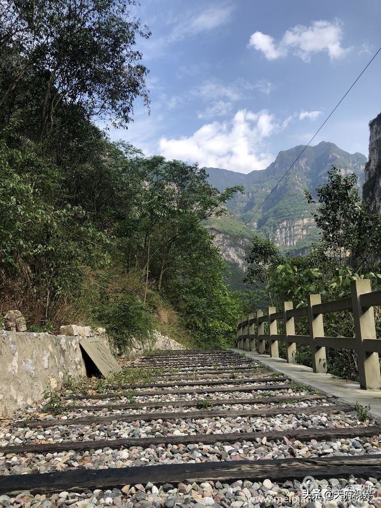 四川黑竹沟之谜,四川黑竹沟探险之旅