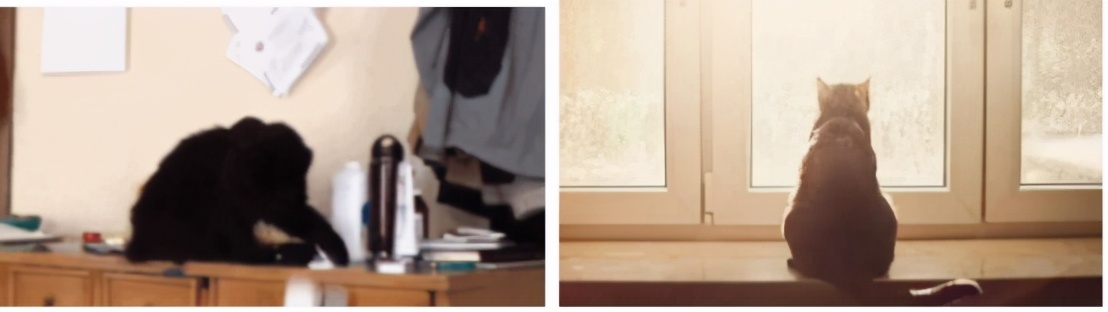 喂？110吗，我的钱都被猫咪骗走了