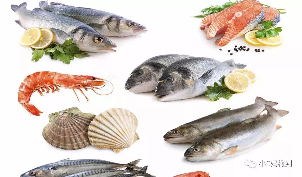 补充dha到底要选择哪个牌子,dha的作用和效果妈妈真的了解吗