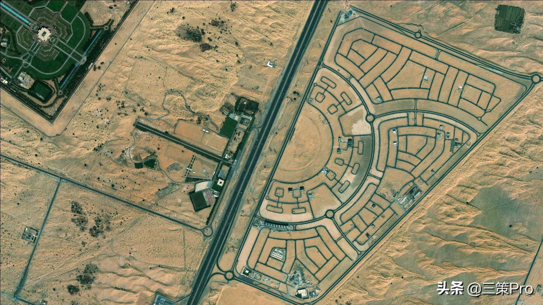 沙漠玫瑰阿拉伯视频,沙漠玫瑰在阿联酋