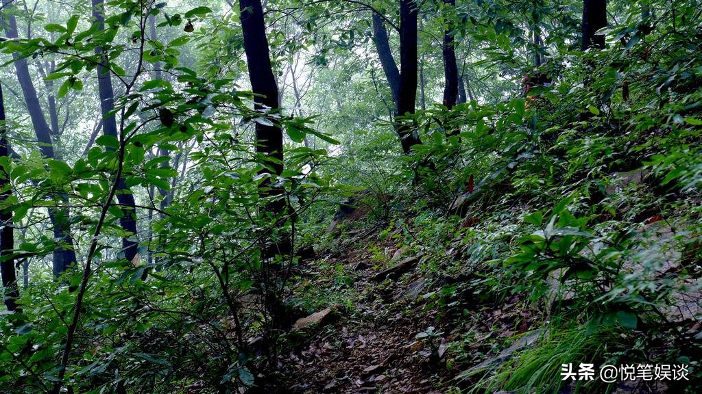 锦衣之下小番外第二十三集,锦衣之下番外大合集婚后生活