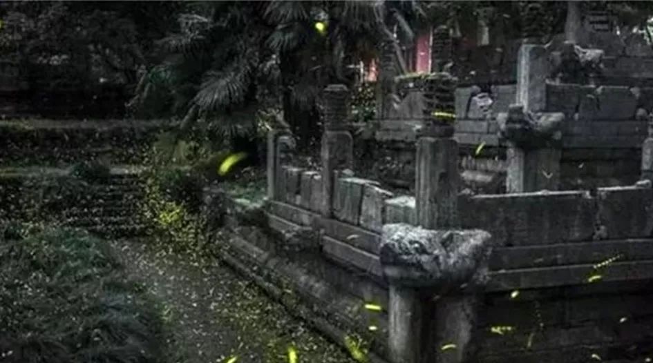 鬼吹灯里九层妖塔图片,鬼吹灯里面的9层妖塔是干什么的