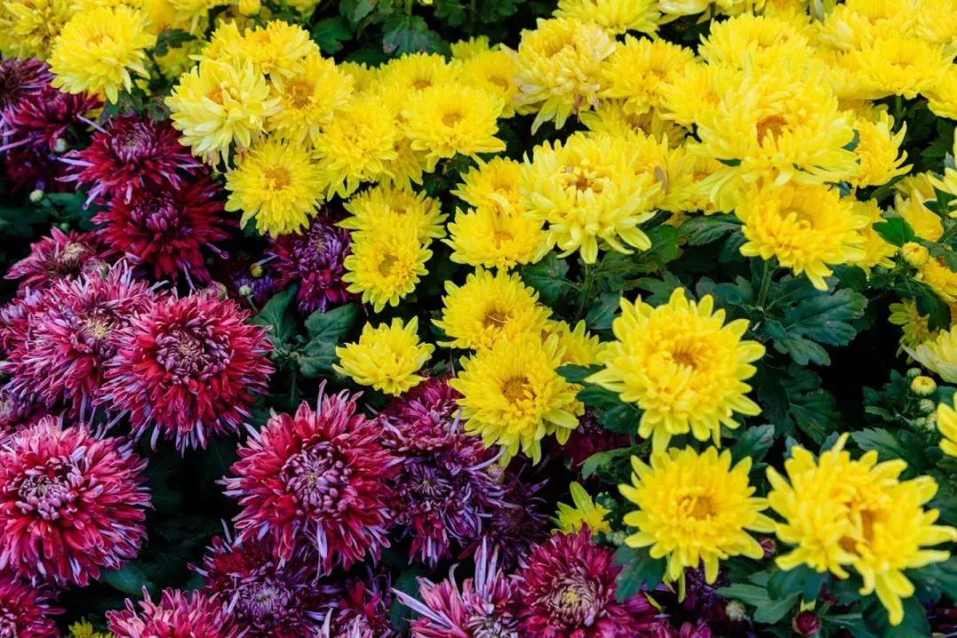 沈阳景点门票团购价格表,沈阳景点门票优惠政策最新