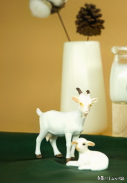 公认最好的奶粉羊奶粉,羊奶粉不上火不便秘奶粉排名
