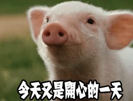 泉州女孩子的工作,泉州年轻人适合做什么工作