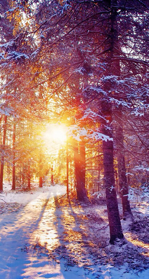 晚唐诗人10次科举不中，写首短诗愤世嫉俗，最后14字如今家喻户晓