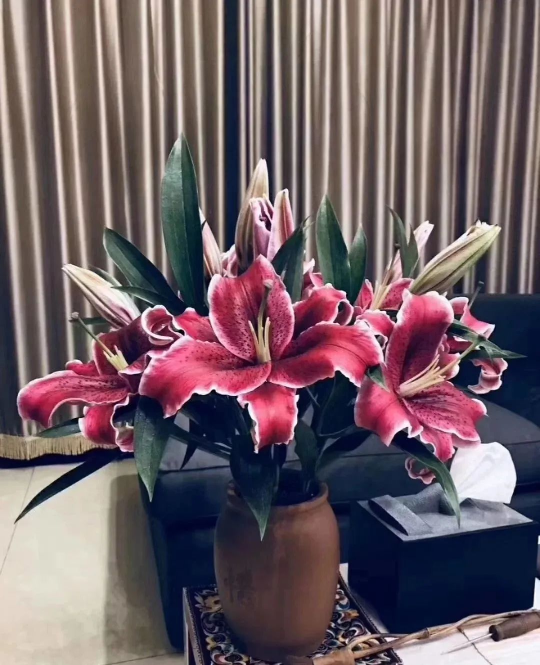 秋日赏花，百合必须要拥有姓名