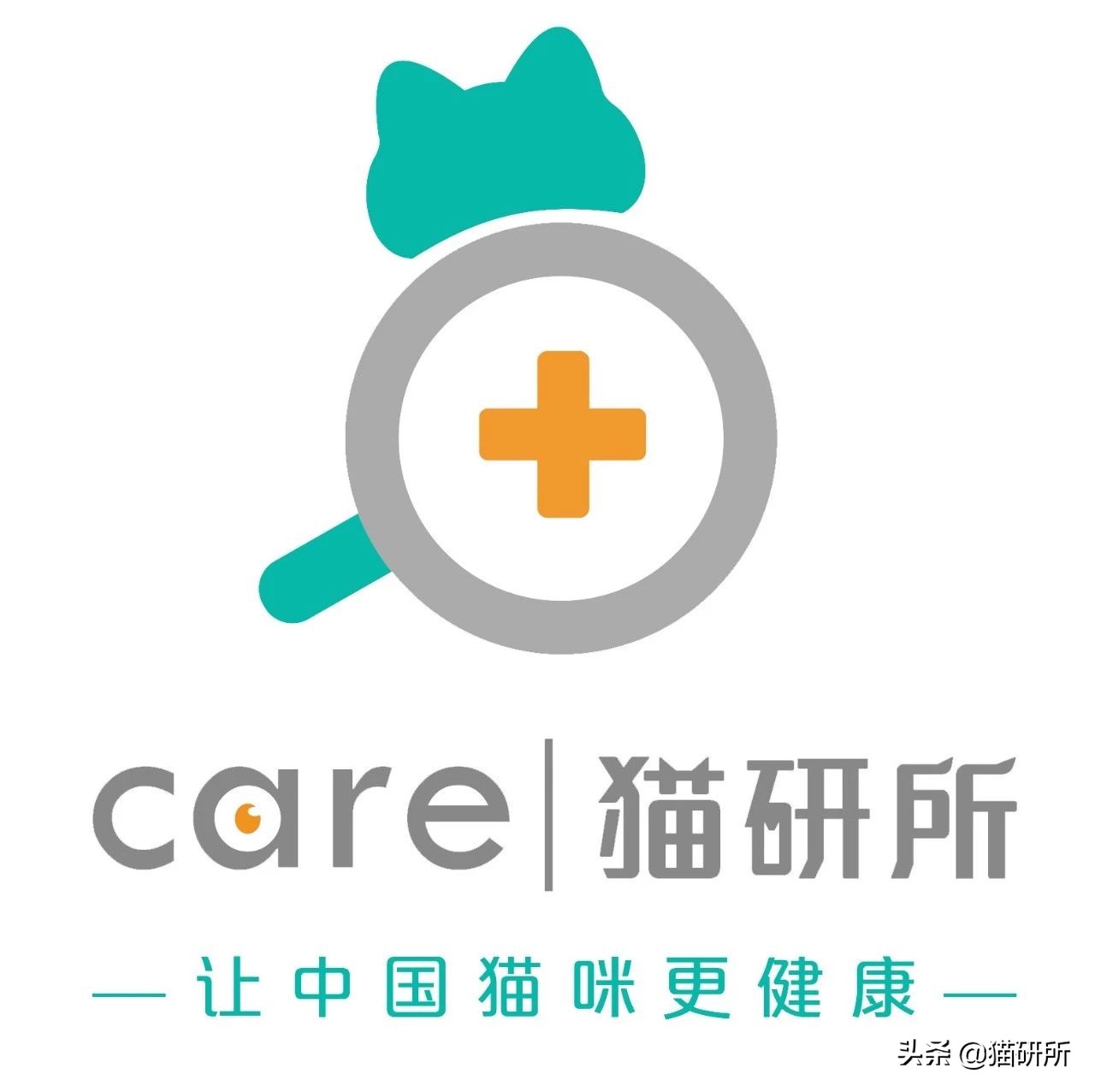 养猫可以让你变得更健康吗,老人养猫为什么比较乖玄学