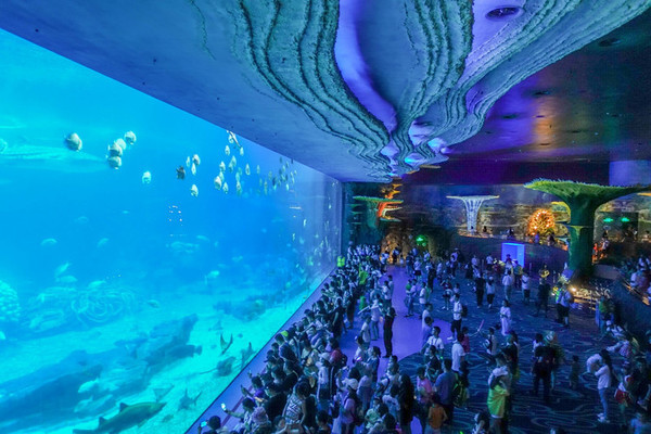 珠海长隆旅游攻略一天自由行,珠海长隆旅游攻略三天自由行