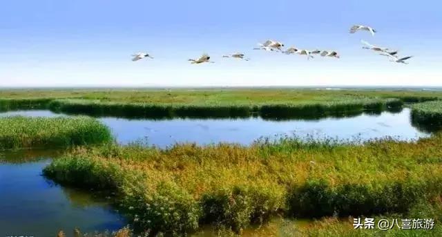 山东夏天值得去的旅游景点,夏天适合去的湖泊