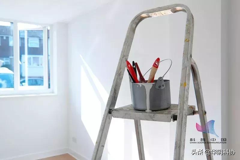 哪些绿植吸甲醛比较好,哪些绿植吸甲醛最厉害呢