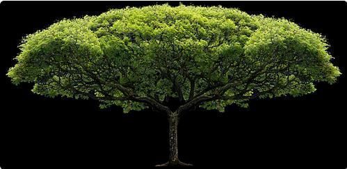 怎么修改手机分辨率,怎么修改证件照片的像素和分辨率