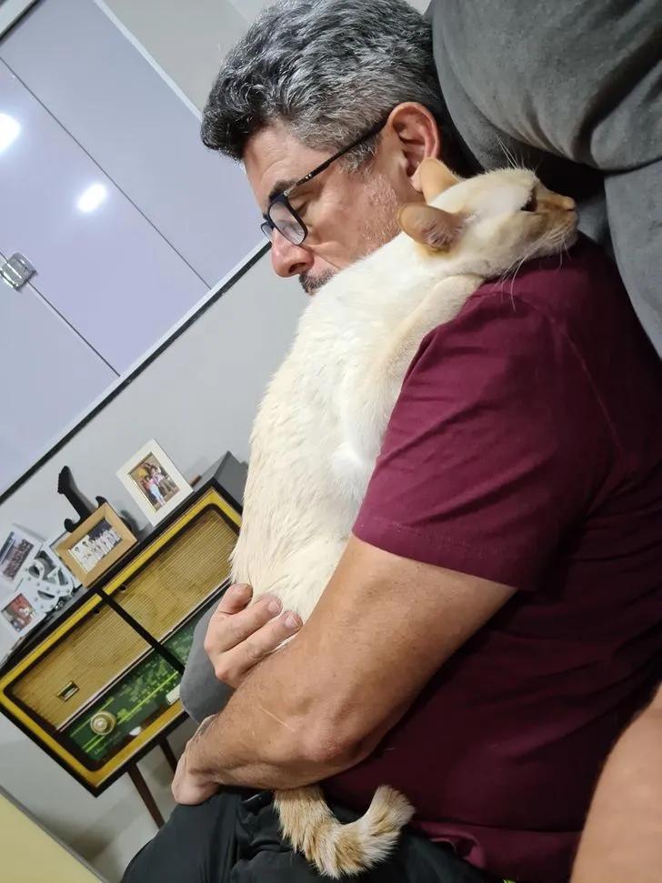 氛围感治愈温柔猫咪图片2张,带有人物与猫咪的温馨治愈图