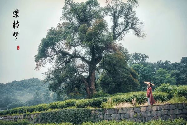 杭州免费古装取景地,杭州最适合拍仙侠古风的地方