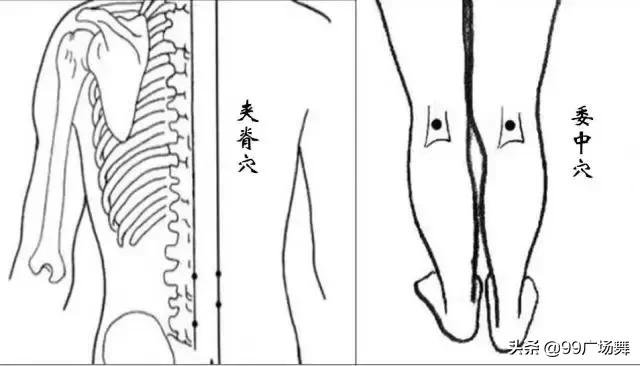 便秘腰后背痛,感冒后肩颈酸痛多久可以缓解