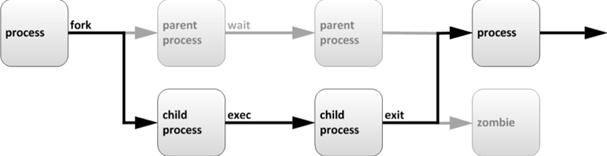 Linux内核分析学习路线总结（内核人员必看）