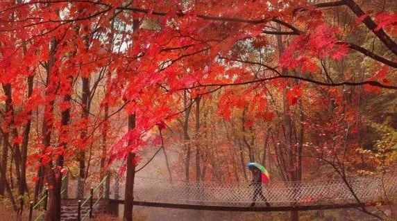沈阳周末一日游推荐冬季,沈阳秋天去哪里看枫叶