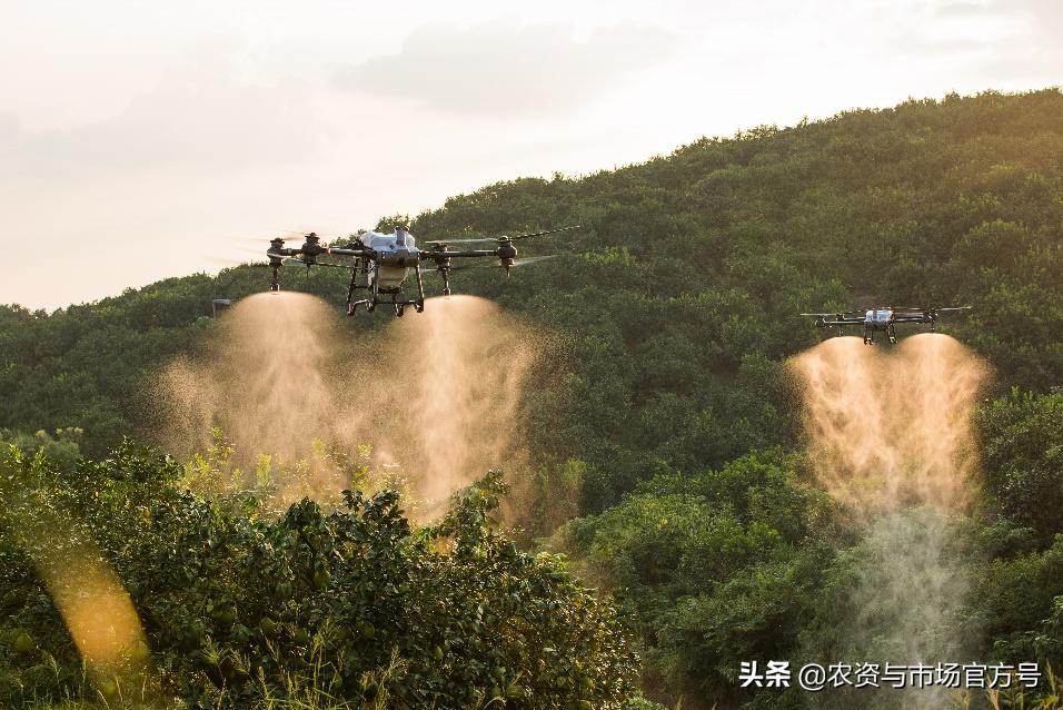 果树发展趋势和前景,我国果树的发展现状及趋势
