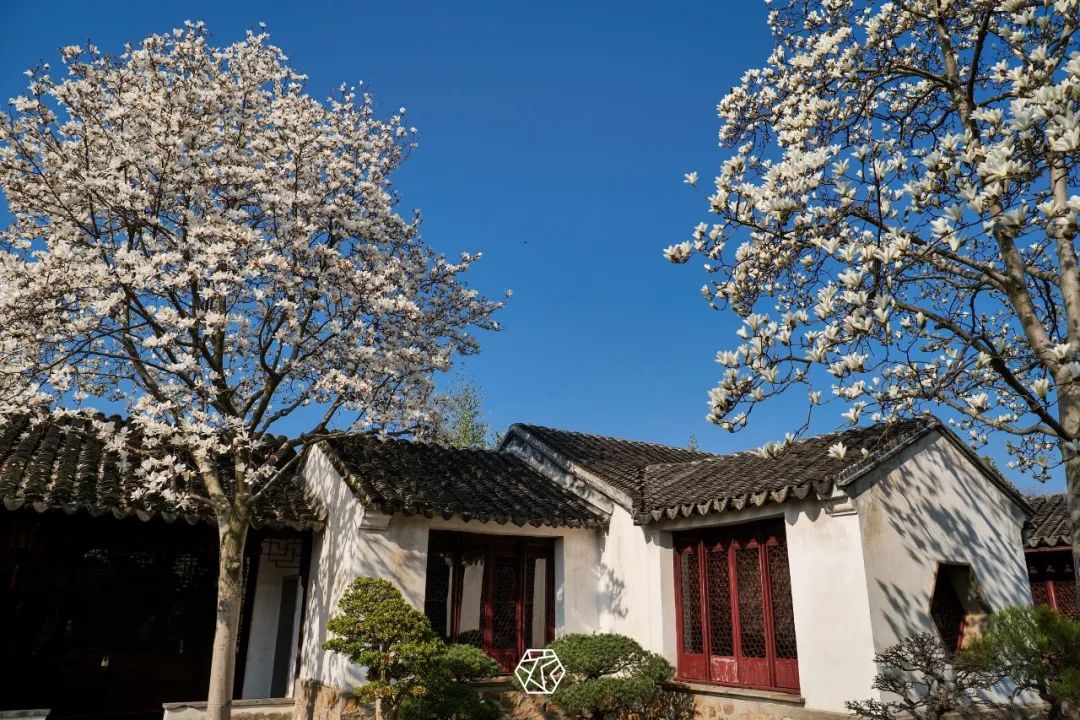 苏州赏花推荐景点有哪些,苏州赏花踏青攻略