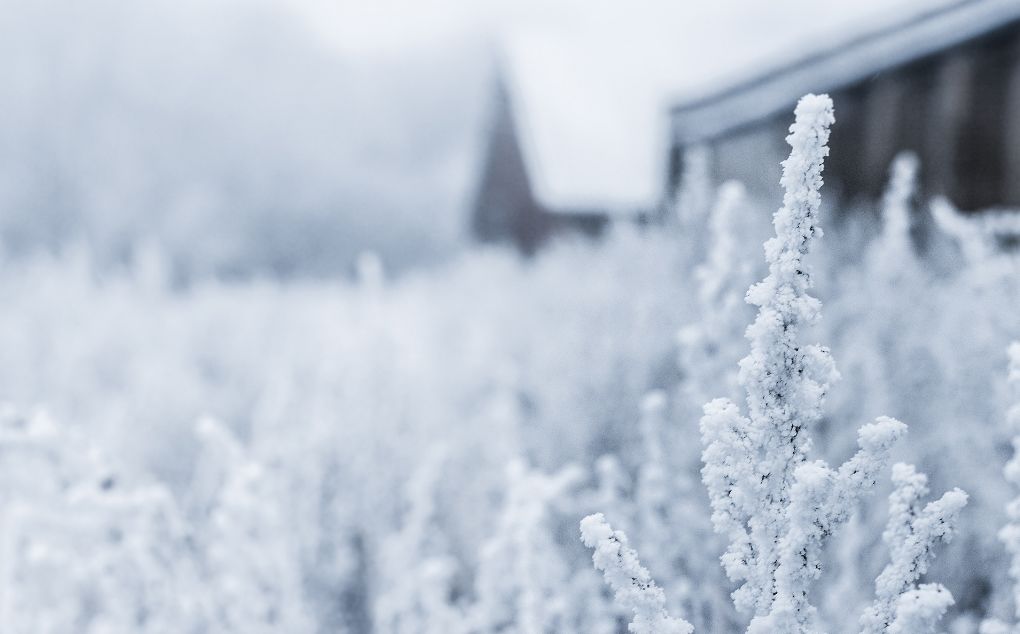 诗词里的二十四节气之大雪,描写节气大雪的诗词