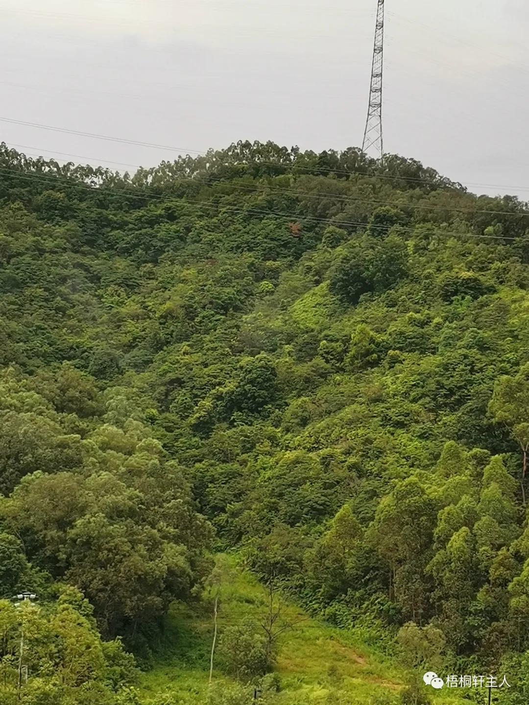 五彩斑斓秋之美,最美广州秋