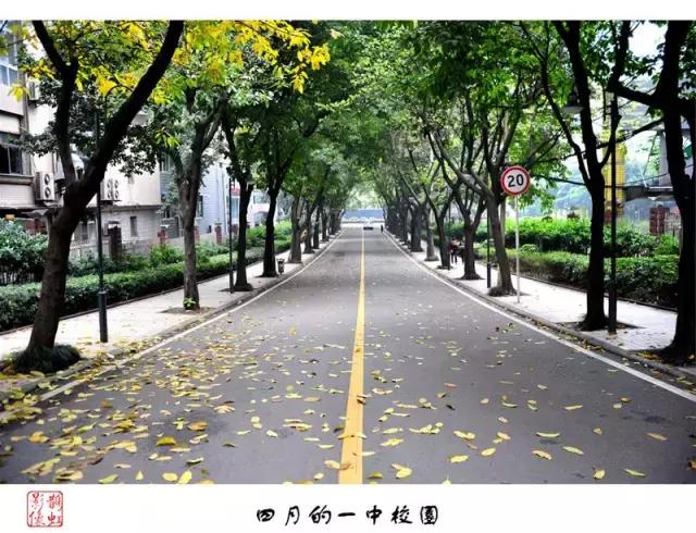 为什么强烈推荐你把孩子送进重庆一中这样的学校？