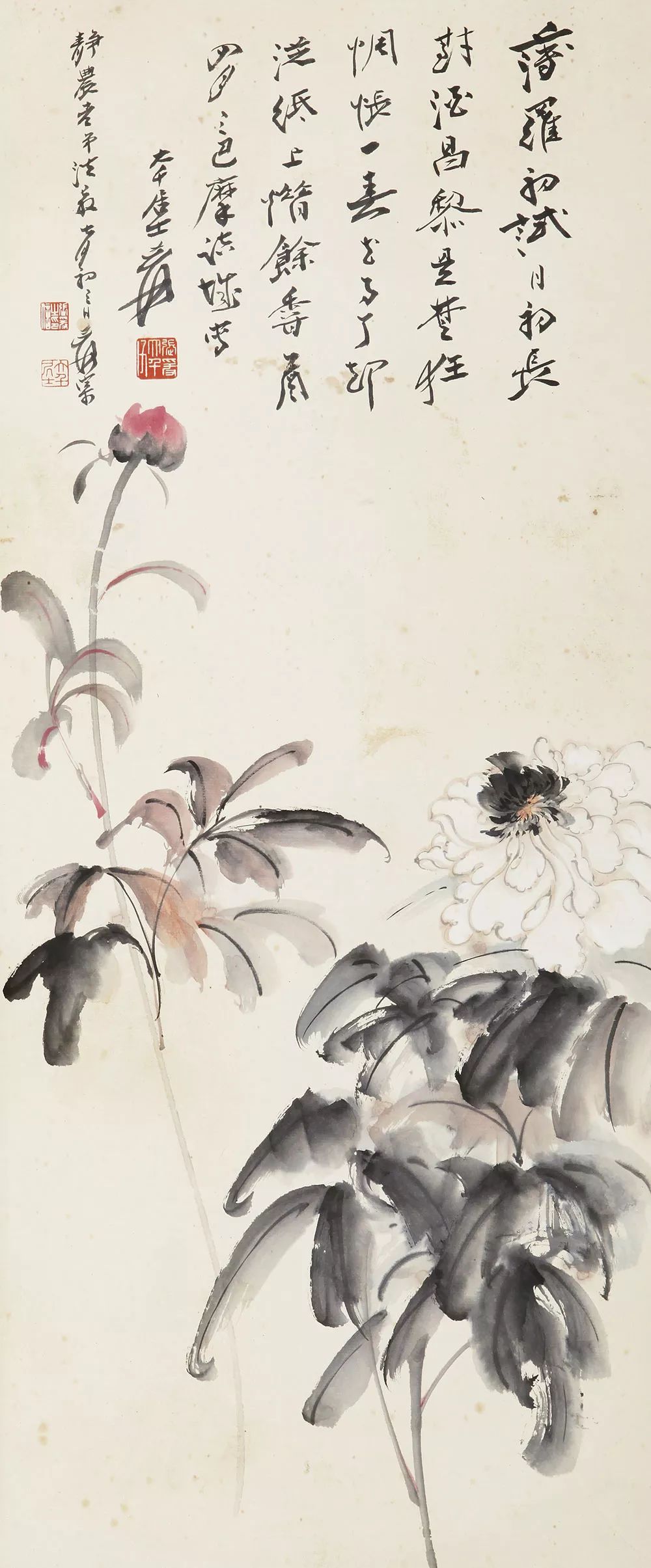 100幅精美写意牡丹画,名家大写意画牡丹作品图片