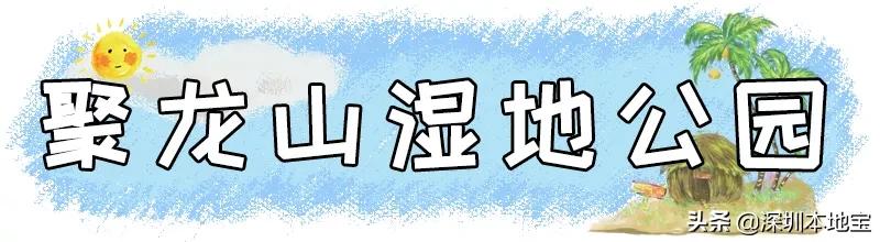 深圳免费的景点有哪些地方,深圳有哪些免费又好玩的地方景点