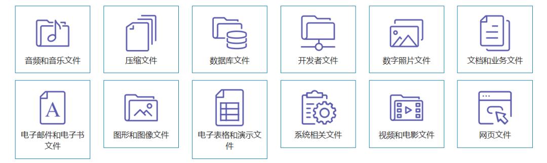 万能查看文件神器,快速查看各类文件工具