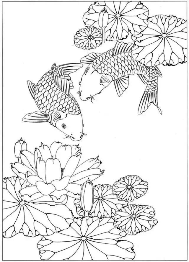 简单易画的工笔画线稿,各种鱼类工笔画图片