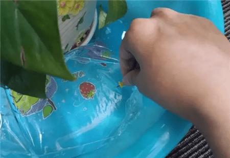 最简单自制自动水循环浇花,懒人浇花自动浇水diy