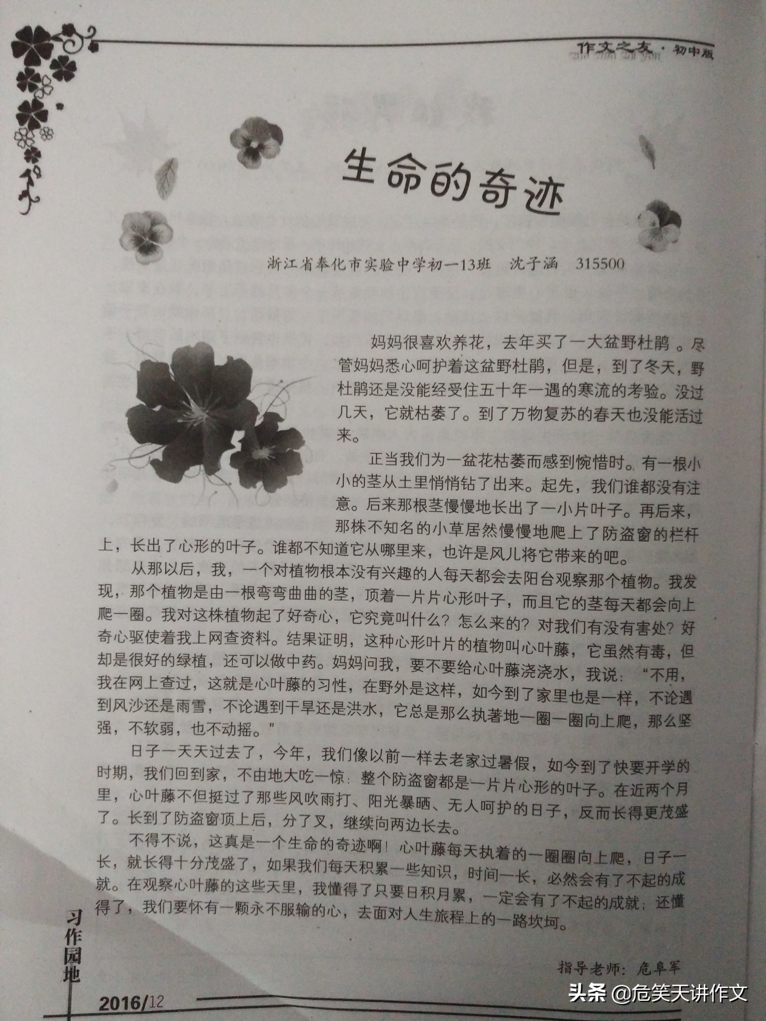 一个技巧让你的作文更有深度,作文怎样写才能生动有内涵