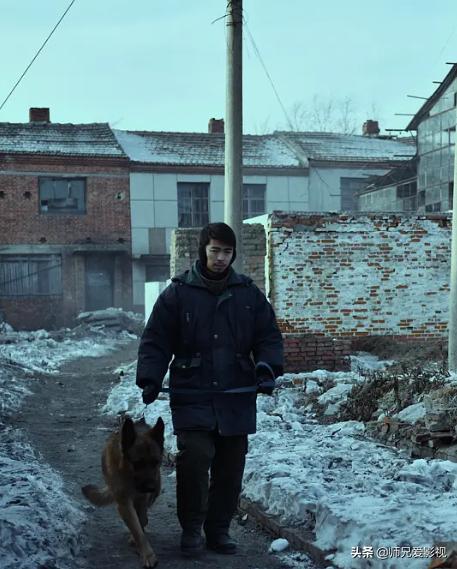 盘点那些和老虎相关的电影,关于老虎的都有什么电影