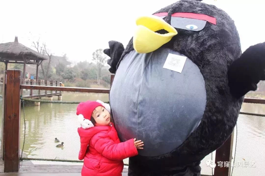 热闹春节行：春节在穹窿山留下的温暖回忆……