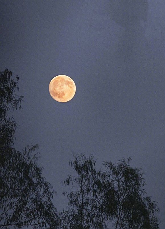 月夜表现杜甫思乡之情的句子,杜甫赞美故乡的诗句