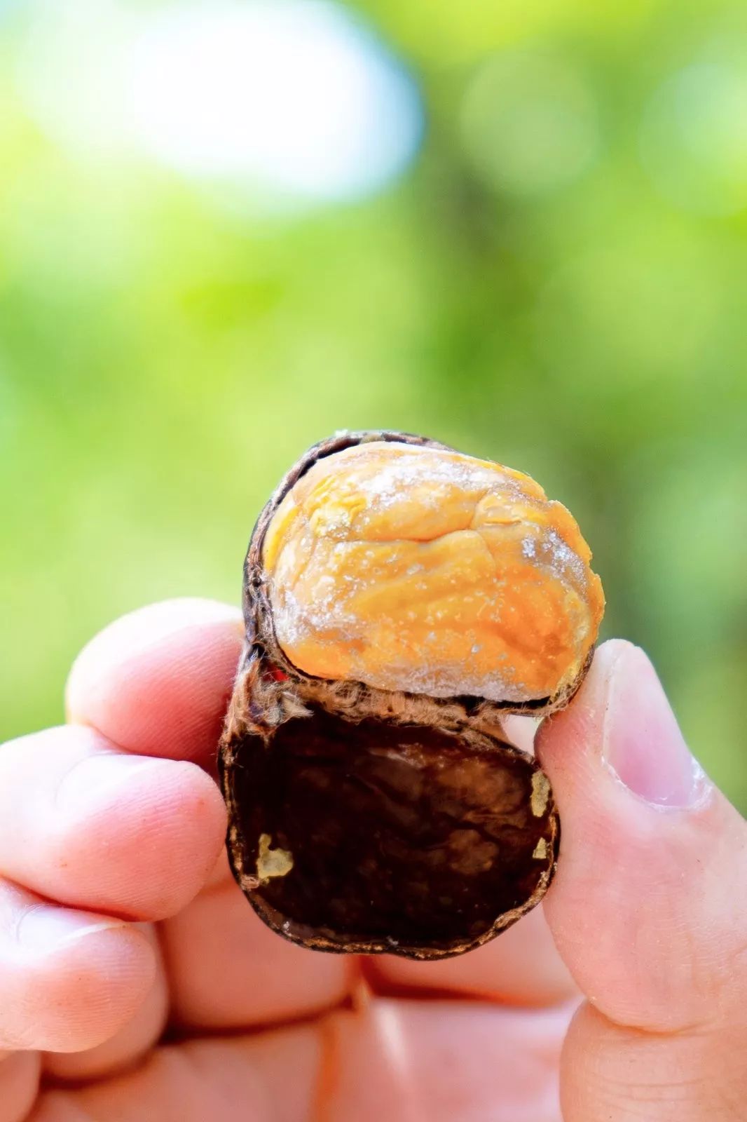 榴莲糯心雪糕,榴莲即食雪糕糯米糍