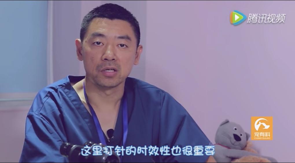 辟谣！被狗狗舔一口就会致死？别被断章取义的假新闻骗了！