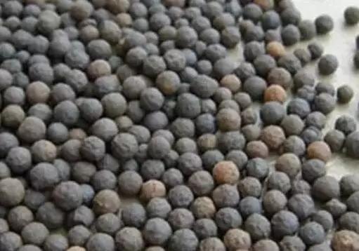 好好学习天天向上｜你知道几种水处理滤料？