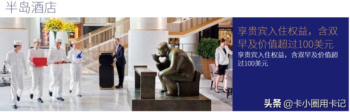 中信visa御玺卡每年年费,visa御玺卡和visa美元白金卡