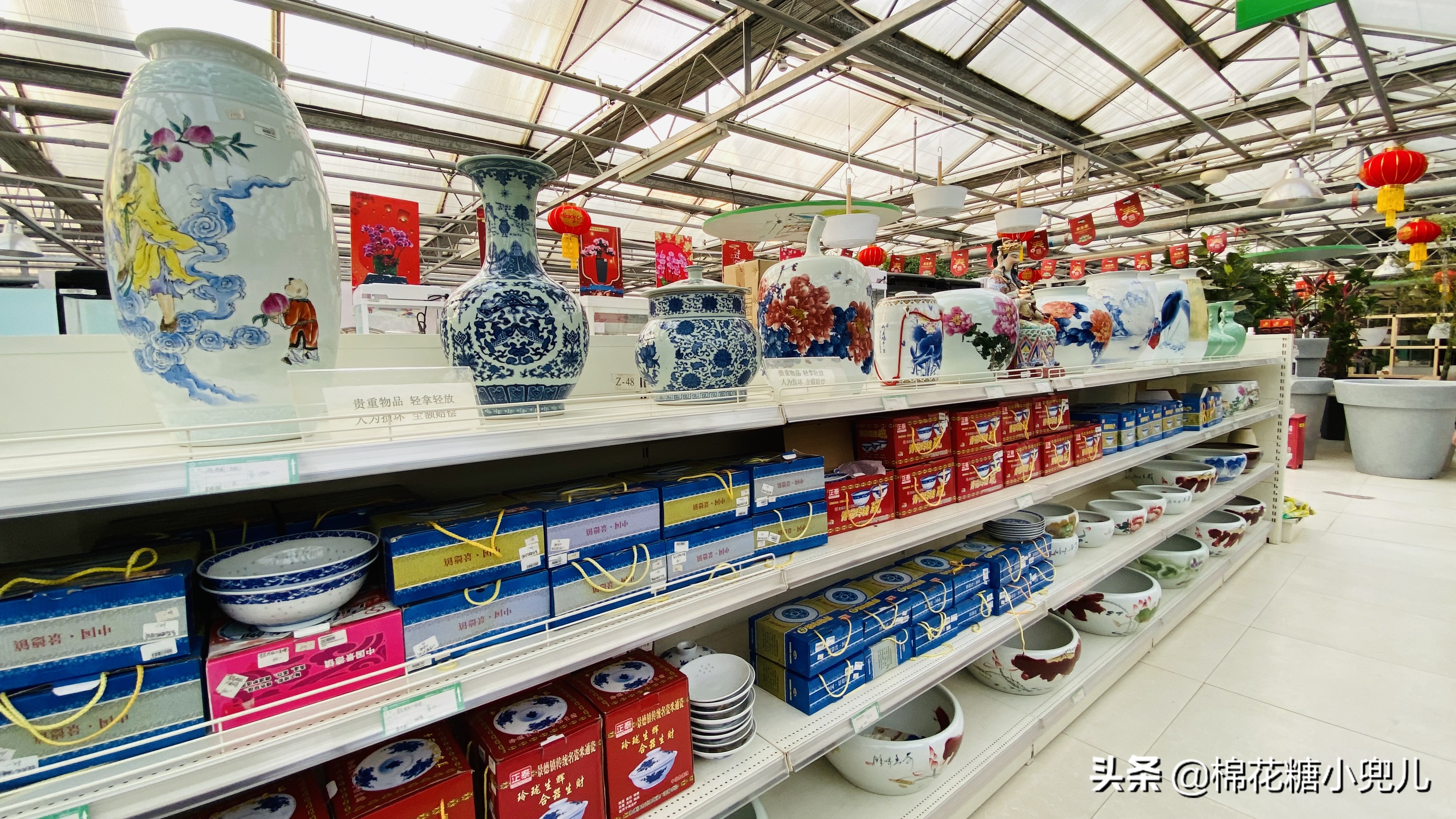 北京开了第一家绿植花卉大超市,北京最大花卉绿植市场