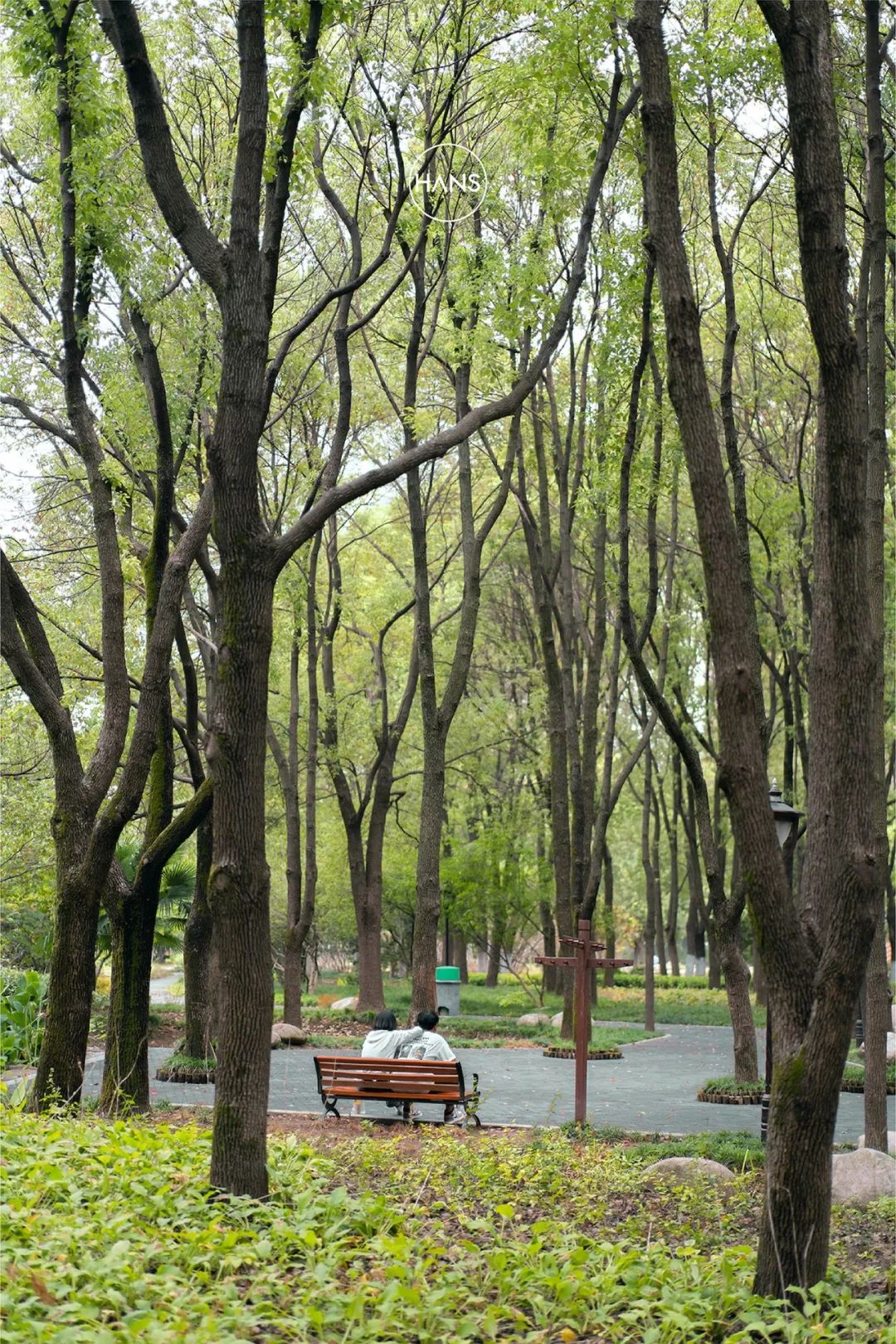 这里是青山，请长按保存
