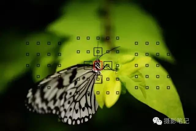 相机对焦技巧教程,相机对焦有哪些方法和技巧