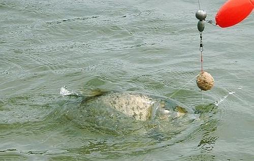 海竿串钩正确钓法图解,海竿串钩的正确使用方法钓海鱼