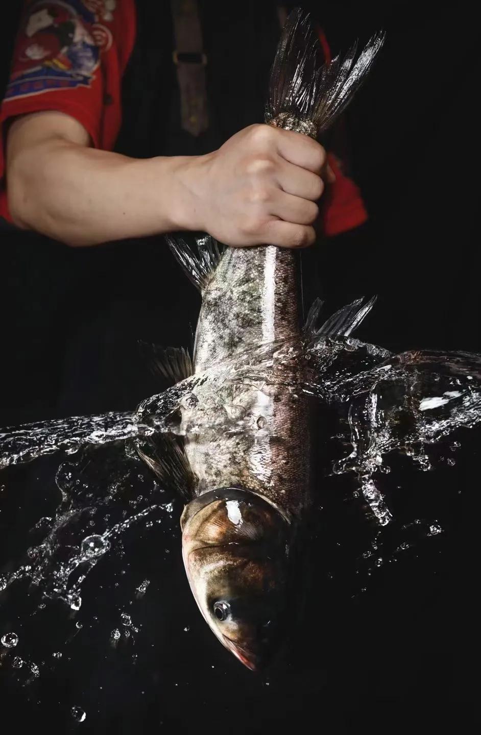 专注制作鱼火锅,专业做鱼蛙火锅整整20年了