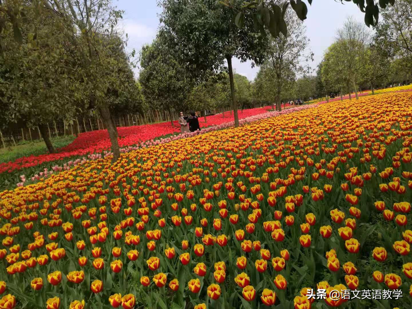 中考英语重点短语归纳大全,河北中考英语单词和短语归纳