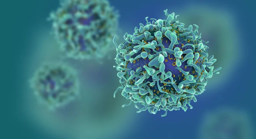 安倍得了溃疡性结肠炎吗,安倍结肠炎