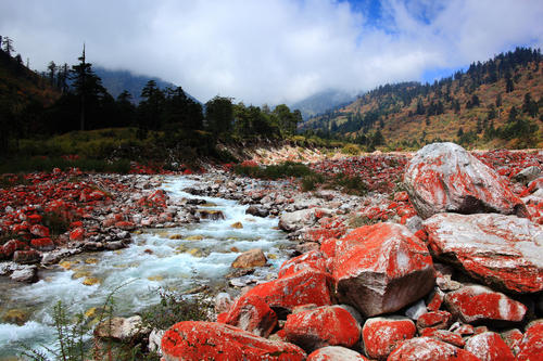 Chengduwow|借束光，请你免费去四川“小京都”泡私汤