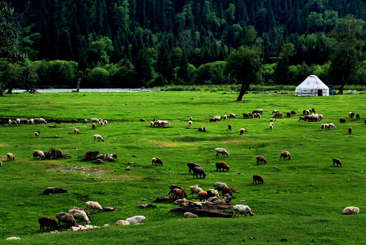 世界上最昂贵的十个豪华列车票,世界最贵火车头等舱