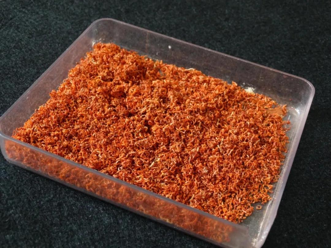 0.8的小叶紫檀手串怎么佩戴,小叶紫檀手串佩戴有什么功效